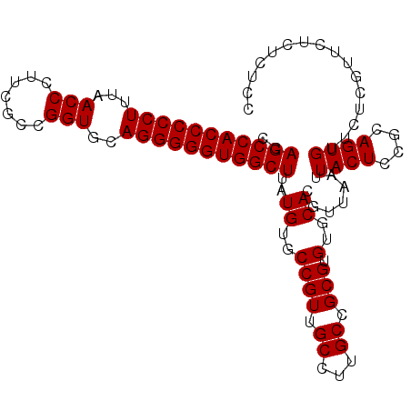 secondary structure