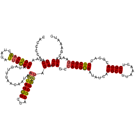 secondary structure