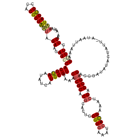 secondary structure