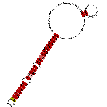 secondary structure