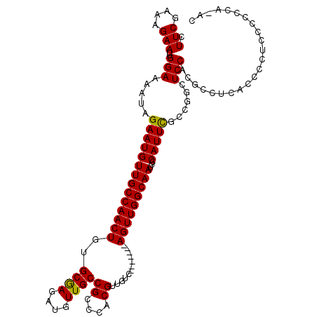 secondary structure