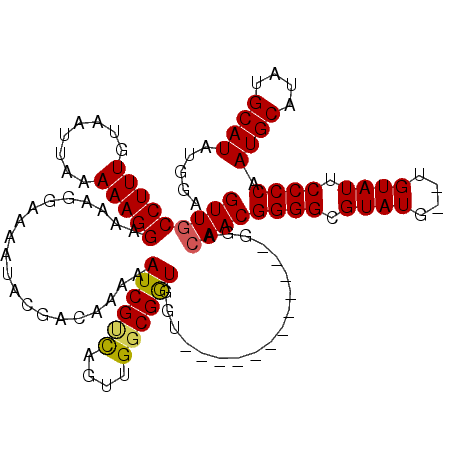 secondary structure