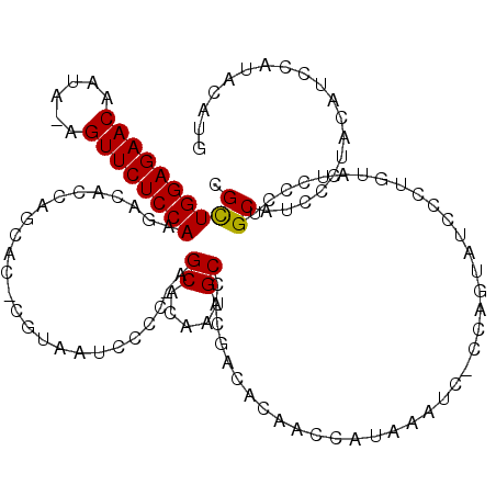 secondary structure