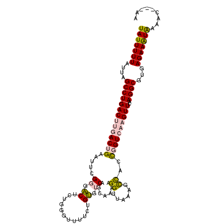 secondary structure