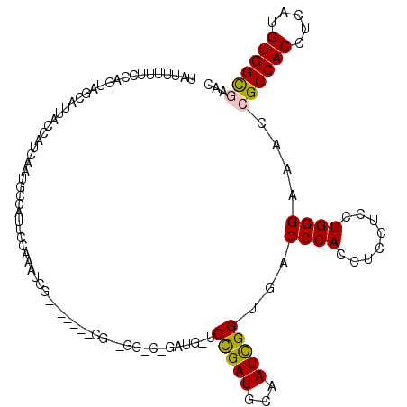 secondary structure