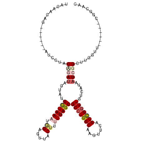 secondary structure