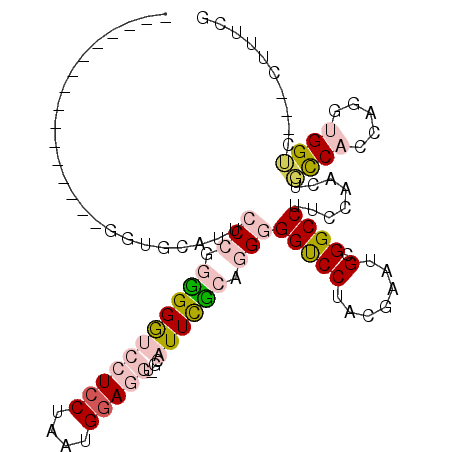 secondary structure