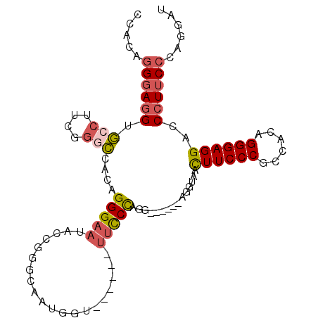 secondary structure