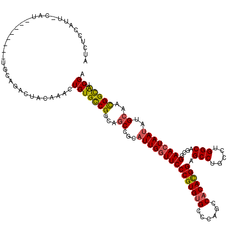 secondary structure