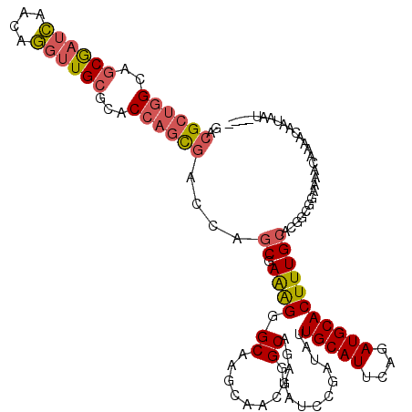 secondary structure