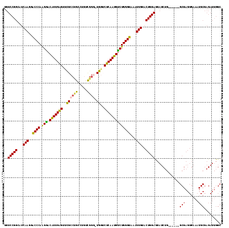 dotplot