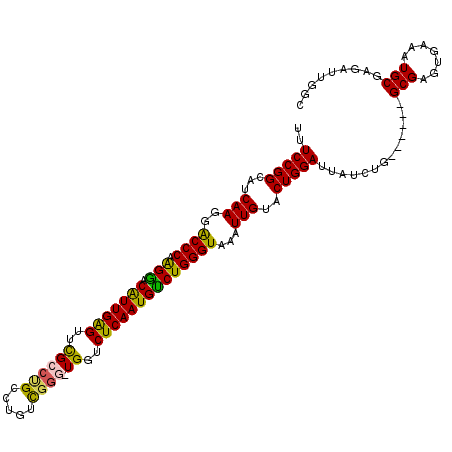 secondary structure