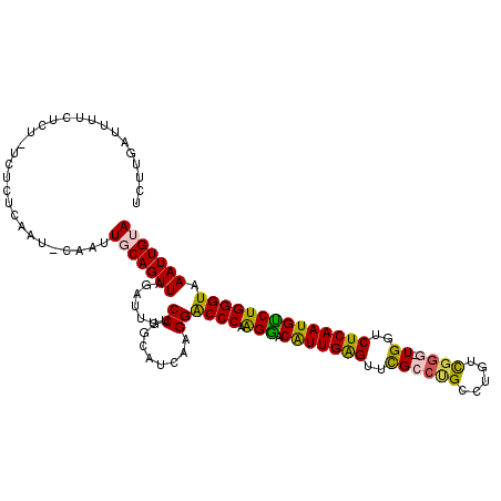 secondary structure