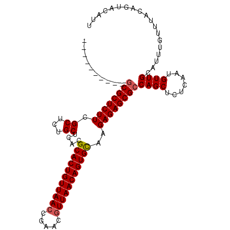 secondary structure