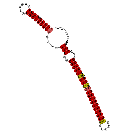 secondary structure