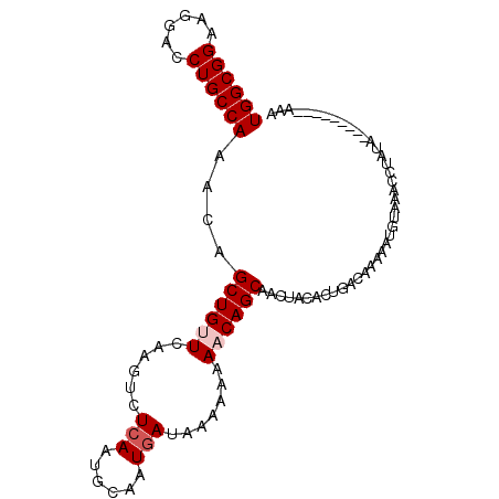 secondary structure