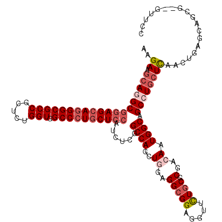 secondary structure