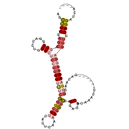secondary structure
