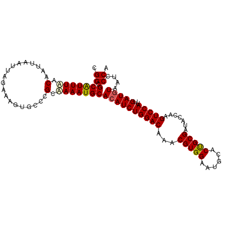 secondary structure