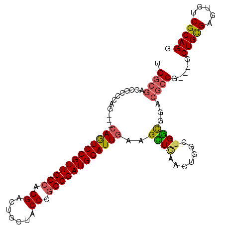 secondary structure