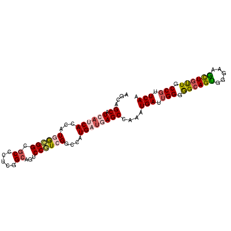secondary structure