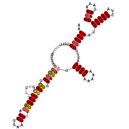 secondary structure