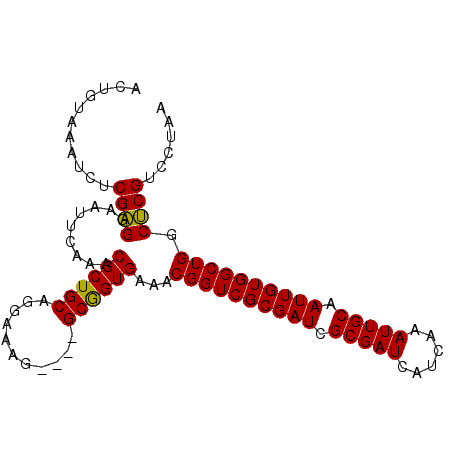 secondary structure
