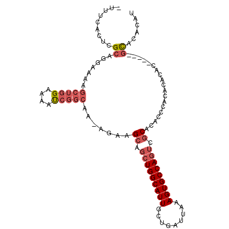 secondary structure
