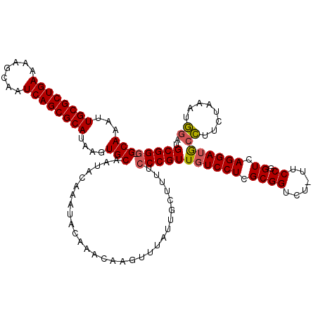 secondary structure