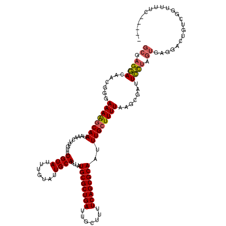 secondary structure