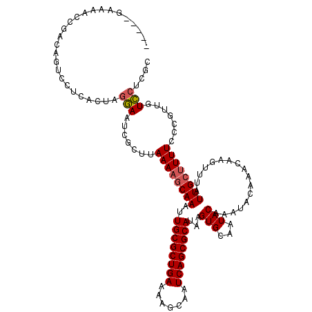secondary structure