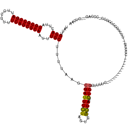 secondary structure