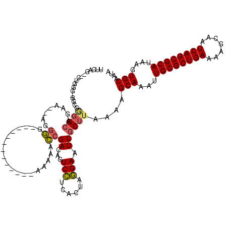 secondary structure