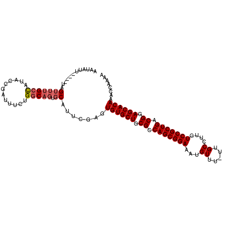 secondary structure
