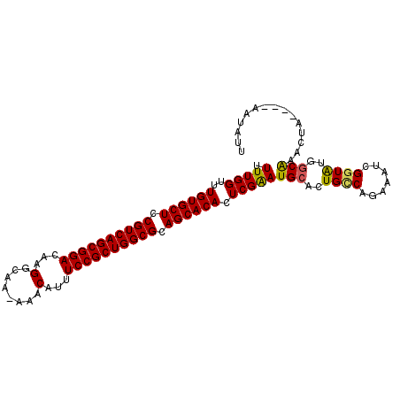 secondary structure