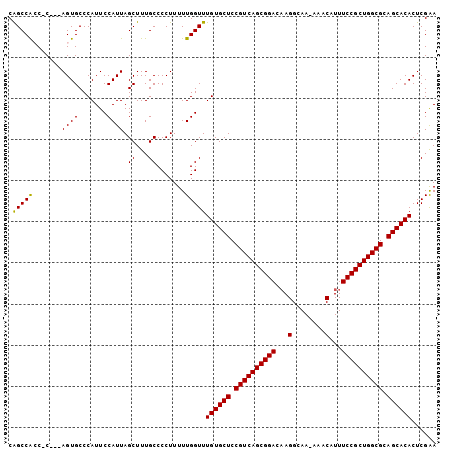 dotplot
