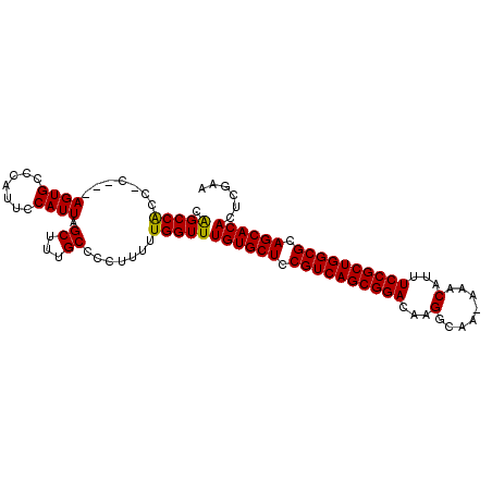 secondary structure