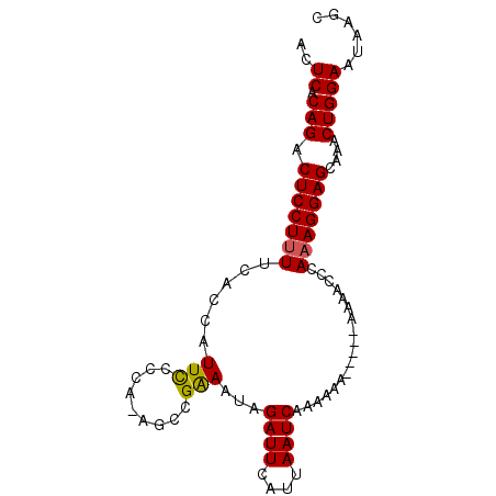 secondary structure