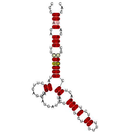 secondary structure