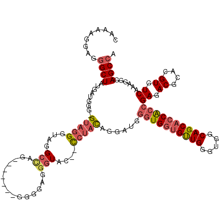 secondary structure