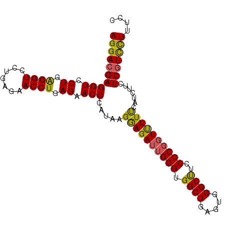 secondary structure