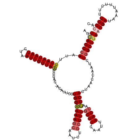 secondary structure