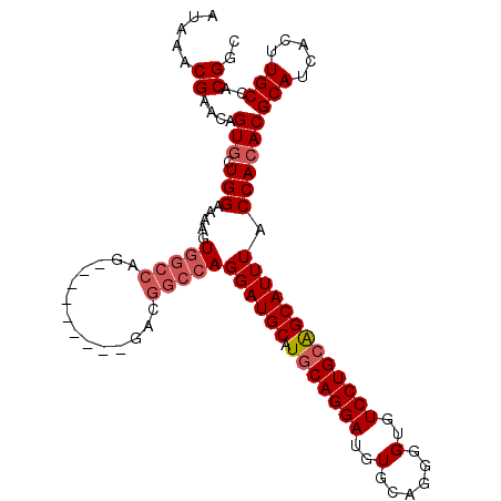 secondary structure
