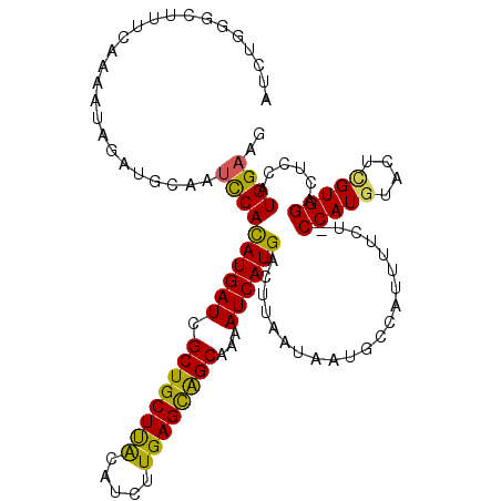 secondary structure