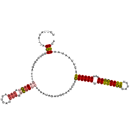 secondary structure