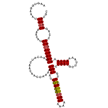 secondary structure