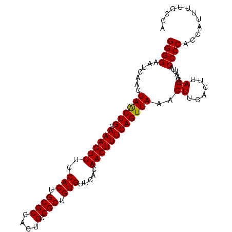 secondary structure