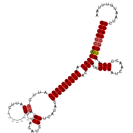 secondary structure