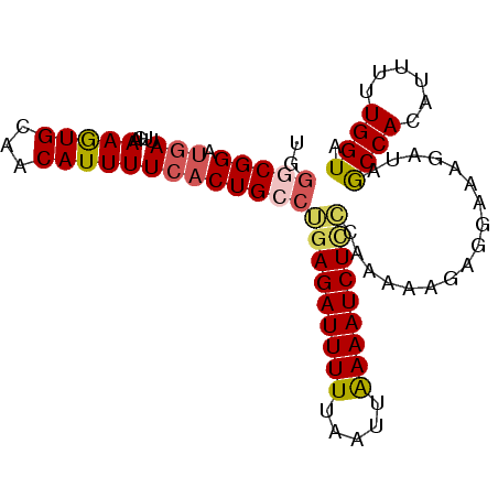 secondary structure