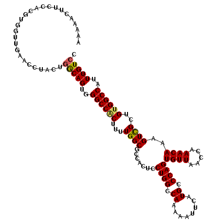secondary structure